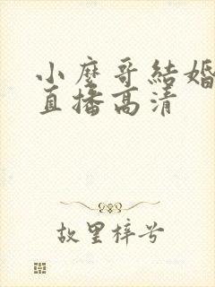 小么哥结婚视频直播高清