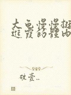 大龟慢慢挺进王进霞的体内