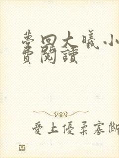 梦回大曦小说免费阅读