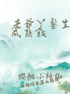 老爷丫鬟生米煮成熟饭