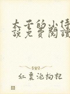 太子的小侍妾小说免费阅读全文