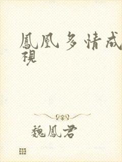 凤凰多情成仁影视