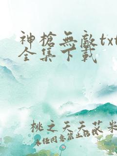 神枪无敌txt全集下载