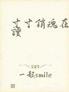 寸寸销魂在线阅读