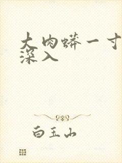 大肉蟒一寸寸地深入