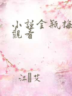 小说金瓶梅在线观看