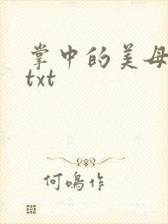 掌中的美母版主txt
