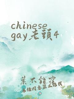 chinesegay老头4