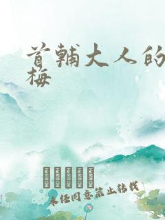 首辅大人的小青梅