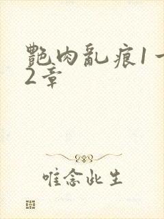 艳肉乱痕1一12章