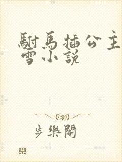 驸马插公主恋战雪小说