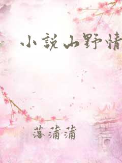 小说山野情债