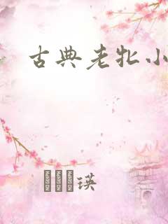 古典老牝小说