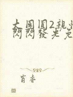 大团圆2亲情会闪闪发光免费