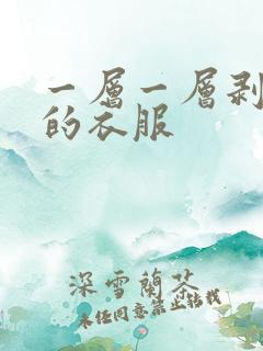 一层一层剥开我的衣服