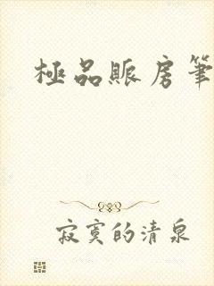 极品账房笔趣阁