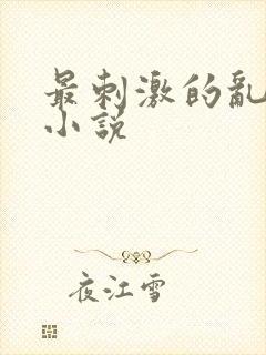 最刺激的乱子伦小说