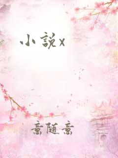 小说x