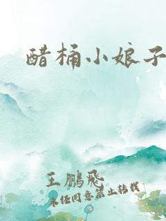 醋桶小娘子