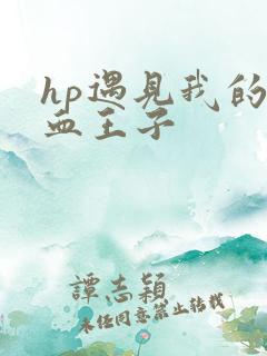 hp遇见我的混血王子