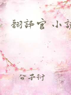 翻译官 小说
