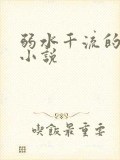 弱水千流的全部小说