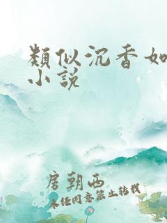 类似沉香如屑的小说