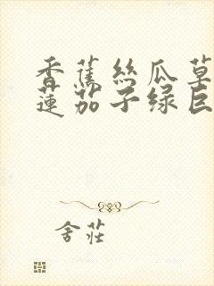 香蕉丝瓜草莓榴莲茄子绿巨人免费