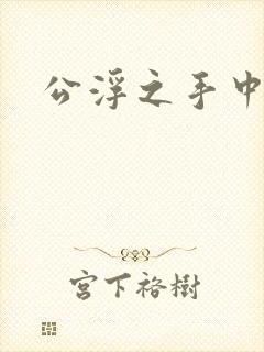 公浮之手中字5