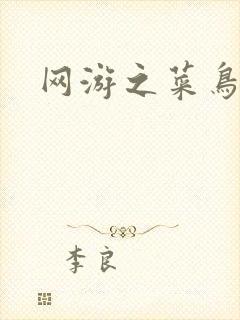 网游之菜鸟高手