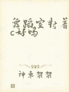 舞蹈室对着镜子c好吗