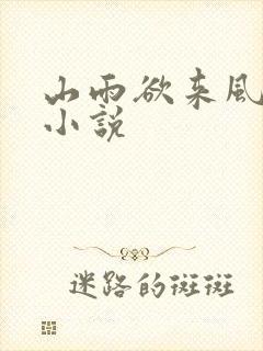 山雨欲来风满楼小说