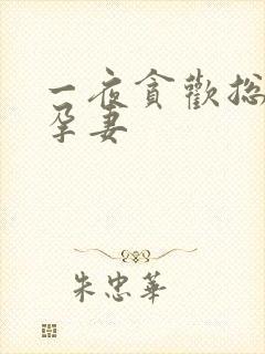 一夜贪欢总裁幸孕妻