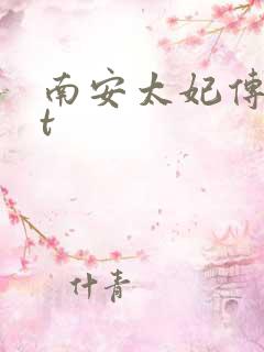 南安太妃传txt