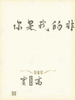 你是我的非卖品