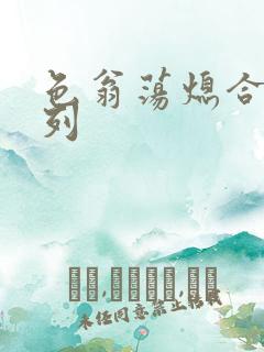 色翁荡熄合集系列