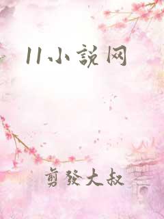 11小说网