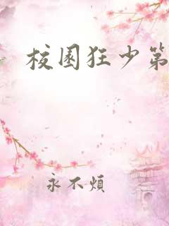 校园狂少第二部