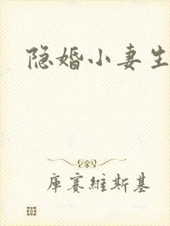 隐婚小妻生个娃