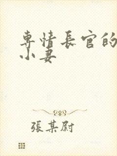 专情长官的天价小妻