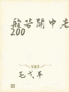 般若关中老人5200