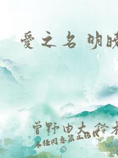 爱之名 明晓溪