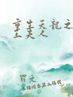 重生天龙之推倒王夫人