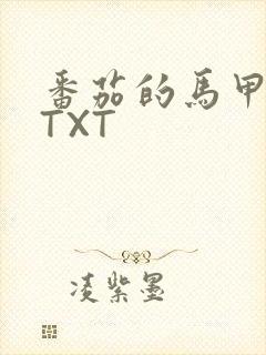 番茄的马甲小说TXT