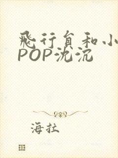 飞行员和小空乘POP沈沉