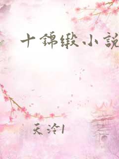 十锦缎小说