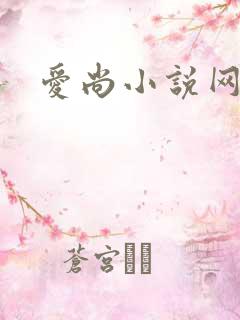 爱尚小说网