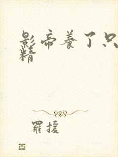 影帝养了只兰花精