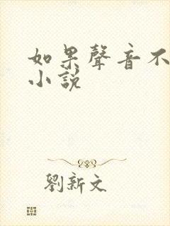 如果声音不记得小说