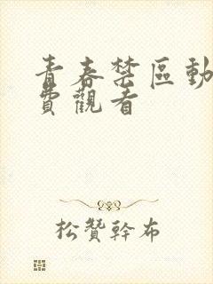 青春禁区动漫免费观看